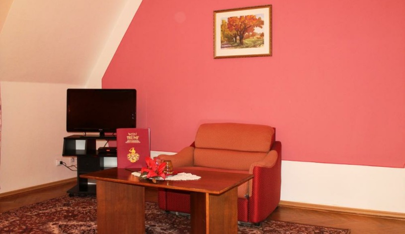 HOTEL TRUMF Mladá Boleslav - Apartmán